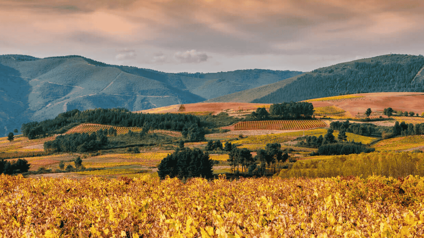 Actividades para toda la familia en El Bierzo: Un destino lleno de magia